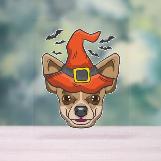 Chemise Halloween sorcière Chihuahua costume cadea (Neutre)