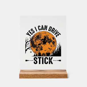 Chemise rétro sorcière drôle d'Halloween Drive Sti