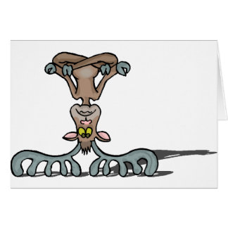 Chemises et cadeaux 47 d'orignaux