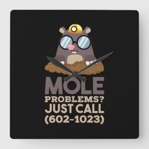 Chemistry - Mole Problems Vierkante Klok