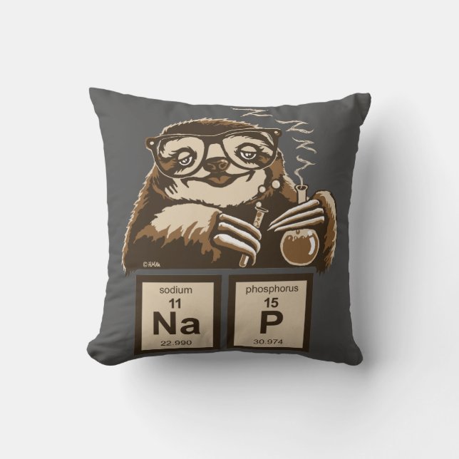 Chemistry sloth heeft een dutje ontdekt kussen (Voorkant)