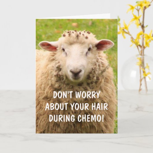 Chemo Support Funny Sheep Kaart (Gele Bloem)