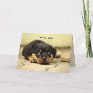 CHEMO-UGG PUPPY GET WELL KAART