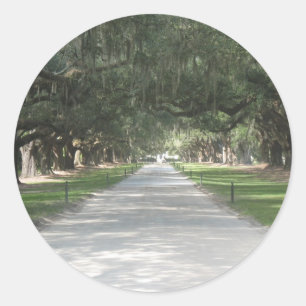 Chêne Alley à Boone Hall, Stickers Charleston SC