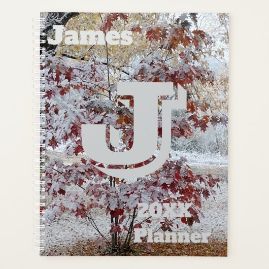 Chêne couvert de neige, paysage d'automne / hiver (Devant)