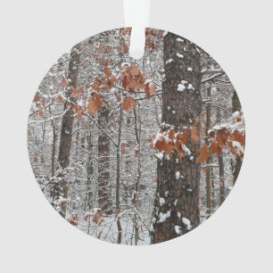 Chênes couverts de neige hiver Photographie de la 