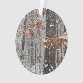 Chênes couverts de neige hiver Photographie de la  (devant)