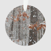 Chênes couverts de neige hiver Photographie de la  (devant)