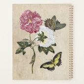 chenille papillon rose vintage (Dos)