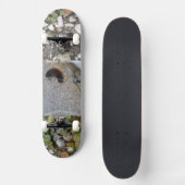 chenille sur skateboard pont métropolim conception (Recto)