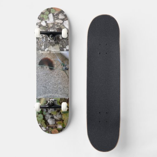 chenille sur skateboard pont métropolim conception (Recto)