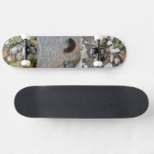 chenille sur skateboard pont métropolim conception (Horz)