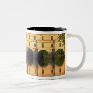 Chenonceau Chateau, River Cher, Loir-et-Cher, Tweekleurige Koffiemok