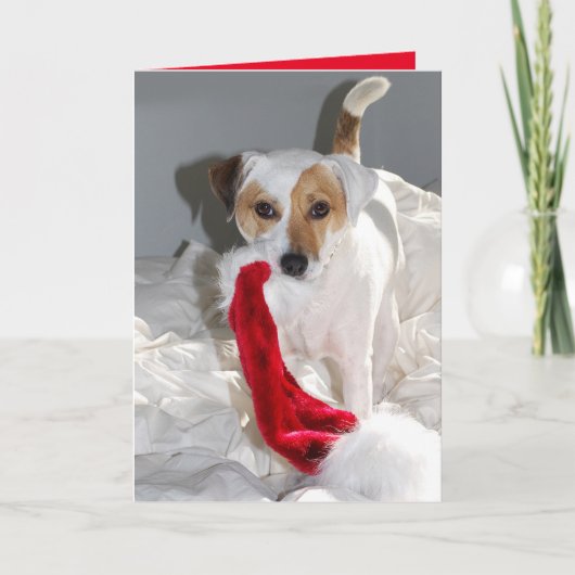 Cher Mme Claus JRT Carte de vacances (Devant)