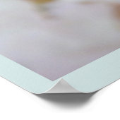 Chercher Blossom Imprimer Poster Fleur Blanche Imp (Coin)