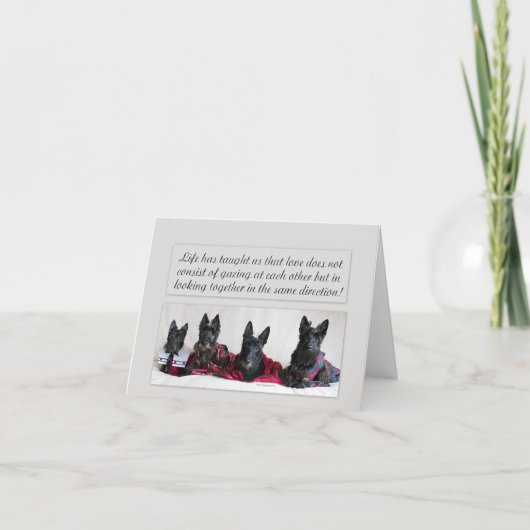 Chercher l'amour (Devant)