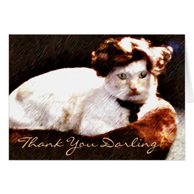 Chéri,Cat_ (Devant Horizontal)