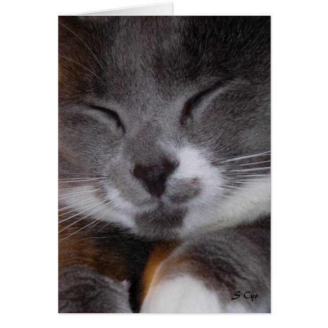 Chéri Poe, S Cyr (Devant)