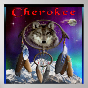 Cherokee Indian poster