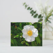 Cherokee Roos Flower Briefkaart (Staand voorkant)