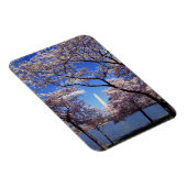 Cherry-bloesem in Washington DC Magneet (Rechterzijde)