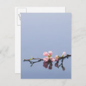 Cherry-bloesems op water briefkaart (Voorkant / Achterkant)