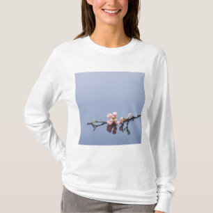 Cherry-bloesems op water t-shirt