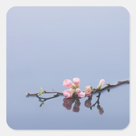 Cherry-bloesems op water vierkante sticker (Voorkant)