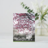 Cherry-bloesems. Washington, DC Briefkaart (Staand voorkant)