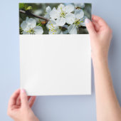 Cherry bloom flyer (Hand)