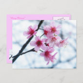Cherry Blossom - A Briefkaart (Voorkant / Achterkant)
