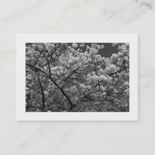 Cherry Blossom B&W (Borded) Visitekaartje