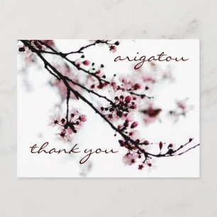 Cherry Blossom Bedankt Briefkaart