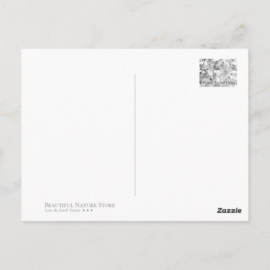 Cherry Blossom "Benigasa" ポストカード Briefkaart (Achterkant)