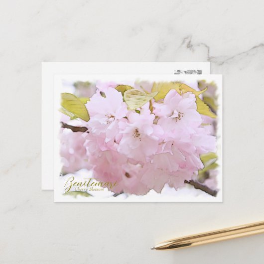 Cherry Blossom "Benitemari" ポストカード Briefkaart (Voorkant / Achterkant in situ)