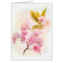 Cherry Blossom bloemen