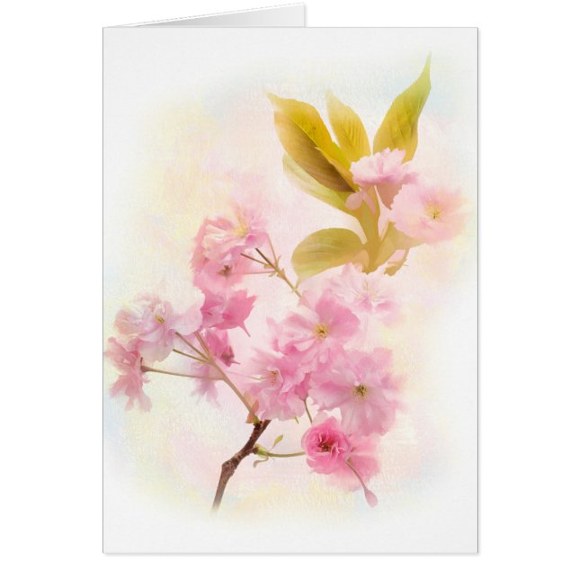 Cherry Blossom bloemen (Voorkant)