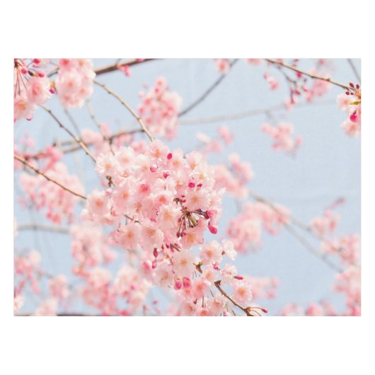 Cherry Blossom Blue roos Lighthouse Route Decor Tafelkleed (Voorkant (Horizontaal))