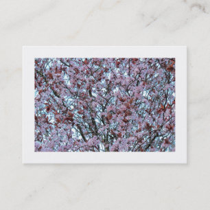 Cherry Blossom (Borded) Visitekaartje