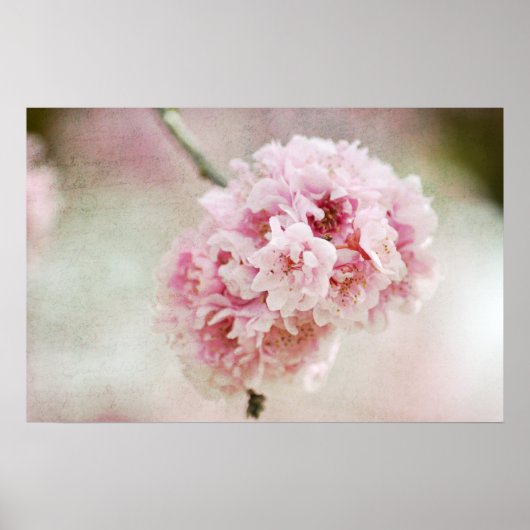 Cherry Blossom Botanical Poster (Voorkant)