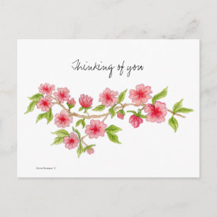 Cherry Blossom Branch Briefkaart