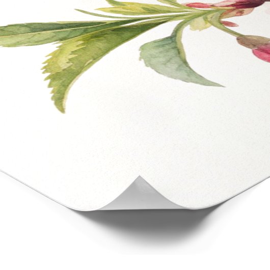 Cherry Blossom Branch Golden Light Poster (Hoek)