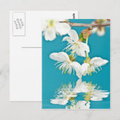 Cherry-Blossom Briefkaart (Voorkant / Achterkant)