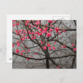 Cherry Blossom Briefkaart (Voorkant / Achterkant)