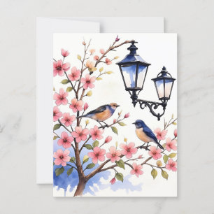 Cherry Blossom Briefkaart
