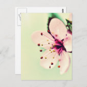 Cherry Blossom Briefkaart (Voorkant / Achterkant)