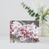 Cherry Blossom Briefkaart (Staand voorkant)
