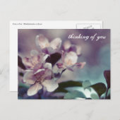 Cherry Blossom Briefkaart 1 (Voorkant / Achterkant)