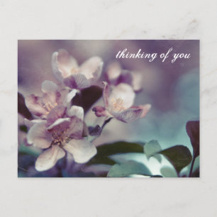 Cherry Blossom Briefkaart 1
