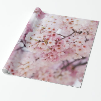 Cherry Blossom Cadeaupapier